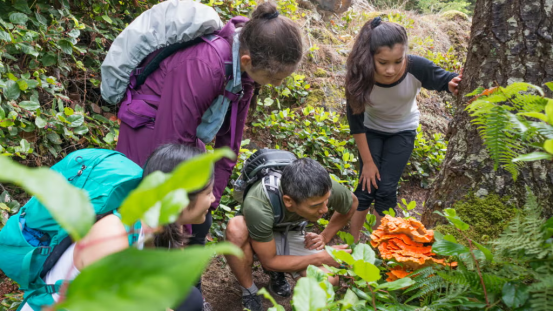 The Ultimate Guide to Nature Immersion: Foraging, Birdwatching, and Wildlife Photography While Camping