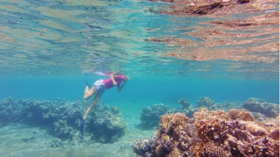 The Ultimate Guide to Earth’s Most Spectacular Underwater Wonders