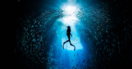 The Ultimate Guide to Scuba Diving: Exploring the Deep Blue